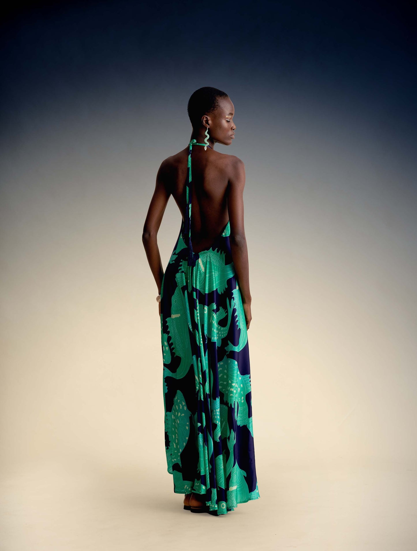 Jeniffer Maxi dress in Viscose.