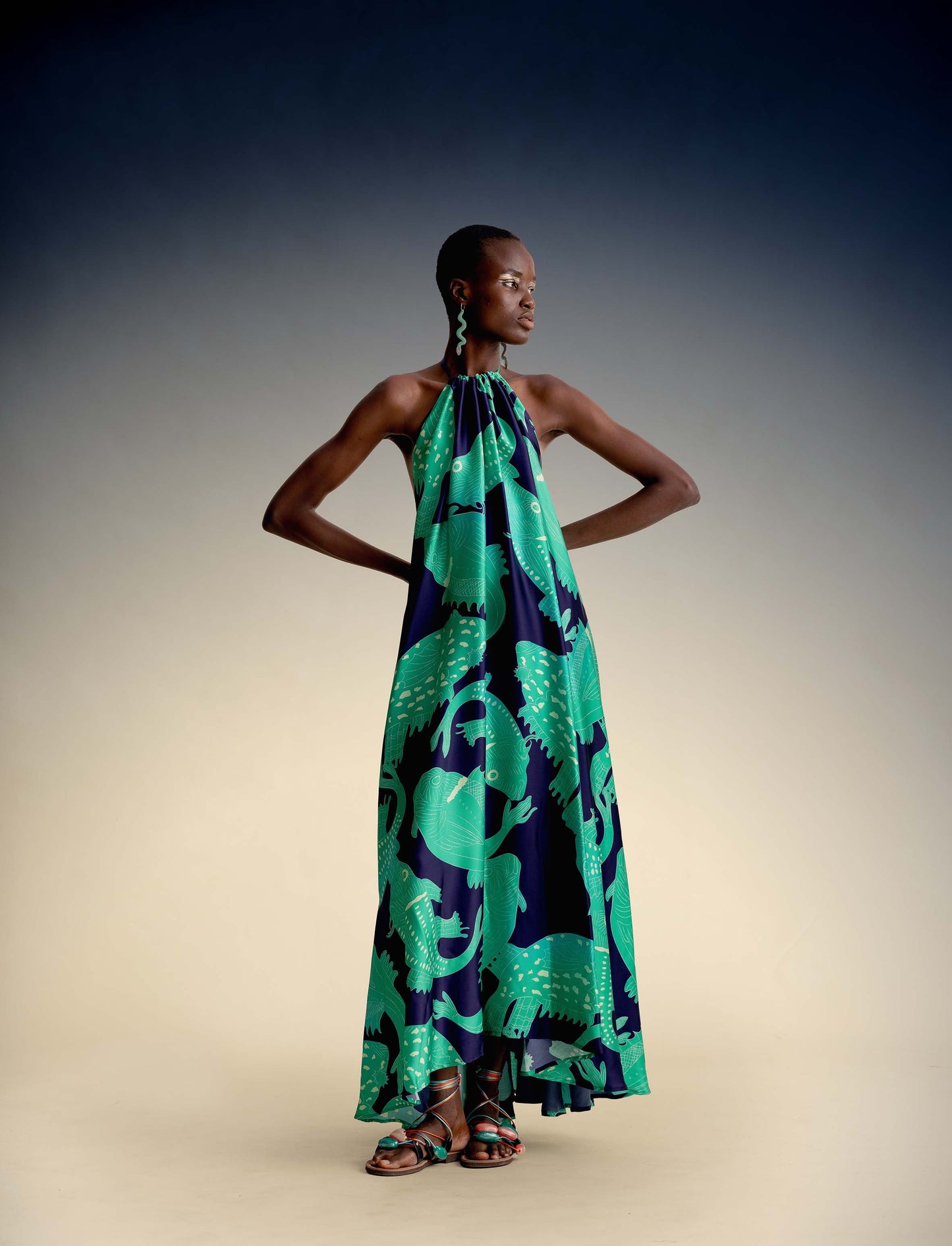 Jeniffer Maxi dress in Viscose.